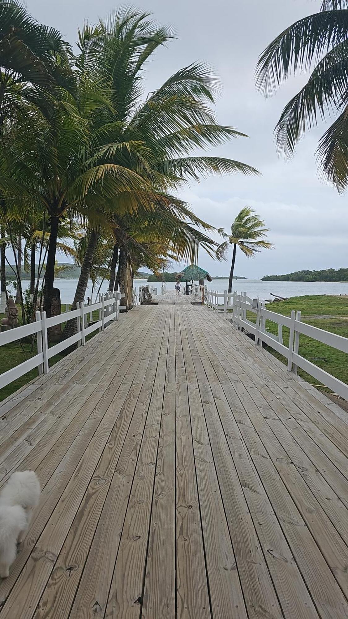 Las Palmas Joliet Corozal  Exterior photo
